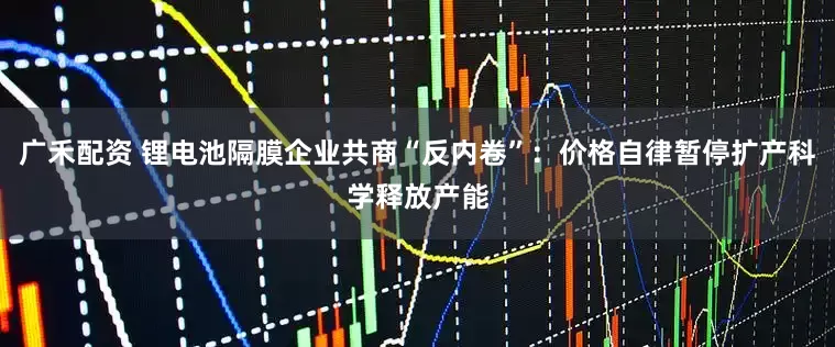 广禾配资 锂电池隔膜企业共商“反内卷”：价格自律暂停扩产科学释放产能