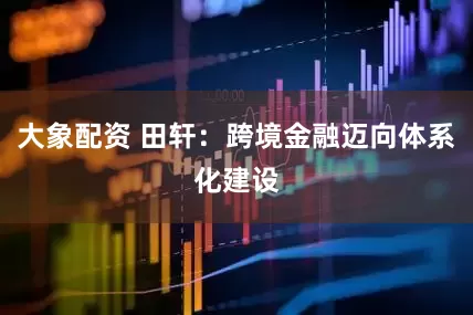大象配资 田轩：跨境金融迈向体系化建设