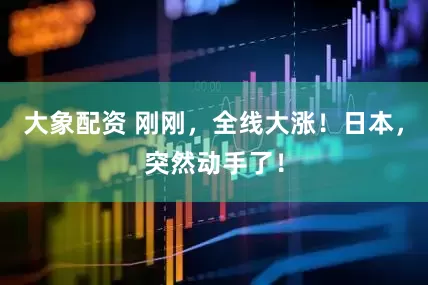 大象配资 刚刚，全线大涨！日本，突然动手了！